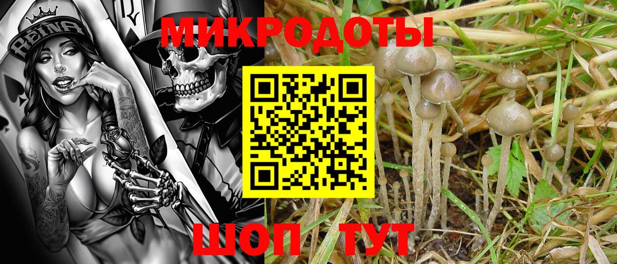 Кропоткин  Галлюциногенные грибы Psilocybe  где можно купить наркотик  Вход с VPN  Псилоцибиновые грибы GOLDEN TEACHER 