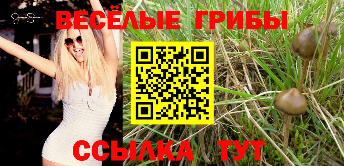 Псилоцибиновые грибы прущие грибы Кропоткин